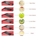 10 IN 1 Mandoline Slicer Vegetable Grater Cutter With Stainless Steel Blade - Image 5